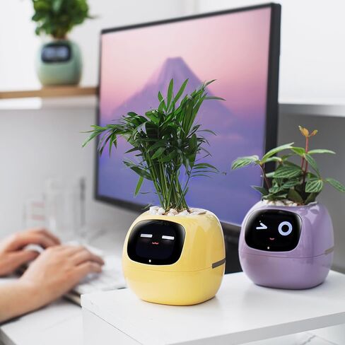 Ivy Smart Flower Pot for Home Decoration Plants Companion Neat Desk Setup Gift Home Pet Planter Robot Guidance on Plant Care with Emojis Pet Friends (Pink) in Saudi Arabia