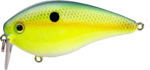 Strike King (HCKVD2.5W-538) KVD 2.5 Wake Bait Fishing Lure, 538 - Chartreuse Sexy Shad, 3/8 oz, Unique Clacking Sound in Saudi Arabia
