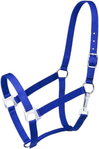Tough 1 Economy Yearling Halter in Saudi Arabia