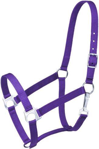 Tough 1 Economy Yearling Halter in Saudi Arabia