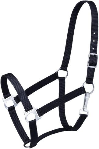 Tough 1 Economy Yearling Halter in Saudi Arabia