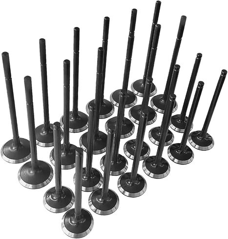 24Pcs Intake Exhaust Valves Compatible with Jaguar Land Rover 3.0L V6 2013-2018,For LR054852, LR041678 in Saudi Arabia