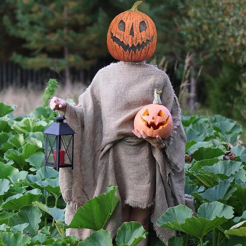 Trick Or Treat Studios King Pumpkin Full Overhead Costume Mask Adult in Saudi Arabia