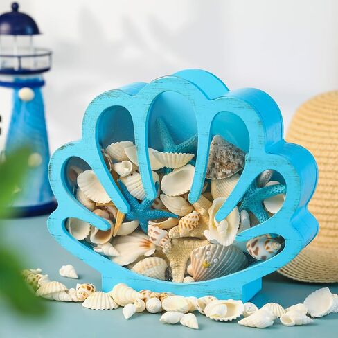 Seashell Holder Seashell Display Box Wooden Small Starfish Shell Display Case with Acrylic Clear Window Shark Tooth Collection Box for Shells Sea Rock Home Decor Present(Blue,Shell) in Saudi Arabia
