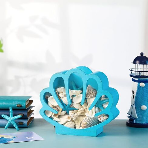 Seashell Holder Seashell Display Box Wooden Small Starfish Shell Display Case with Acrylic Clear Window Shark Tooth Collection Box for Shells Sea Rock Home Decor Present(Blue,Shell) in Saudi Arabia