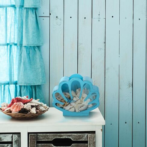 Seashell Holder Seashell Display Box Wooden Small Starfish Shell Display Case with Acrylic Clear Window Shark Tooth Collection Box for Shells Sea Rock Home Decor Present(Blue,Shell) in Saudi Arabia