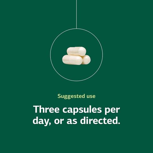 العملية القياسية A-C كارباميد - مكمل دعم الكلى الخالي من الغلوتين مع فيتامين A وفيتامين C ودقيق الأروروت - 90 كبسولة in Kuwait