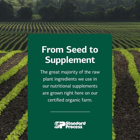 العملية القياسية A-C كارباميد - مكمل دعم الكلى الخالي من الغلوتين مع فيتامين A وفيتامين C ودقيق الأروروت - 90 كبسولة in Kuwait