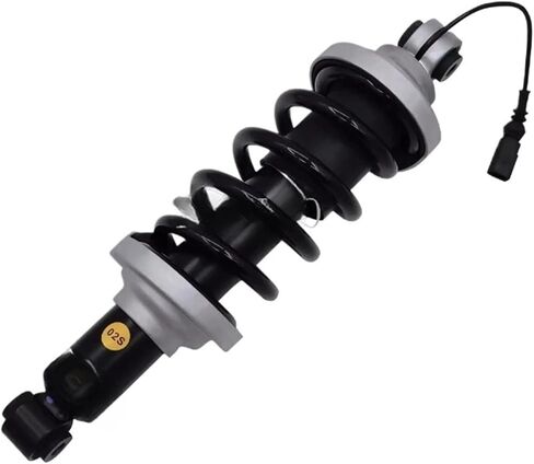 1Pc Rear Right＆Left Shock Absorber Compatible for Audi R8 Spyder 2016-2021 4.2L 5.2L ASSY(REAR LEFT) in Saudi Arabia