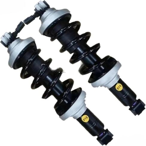 1Pc Rear Right＆Left Shock Absorber Compatible for Audi R8 Spyder 2016-2021 4.2L 5.2L ASSY(REAR LEFT) in Saudi Arabia