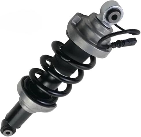 1Pc Rear Right＆Left Shock Absorber Compatible for Audi R8 Spyder 2016-2021 4.2L 5.2L ASSY(REAR LEFT) in Saudi Arabia