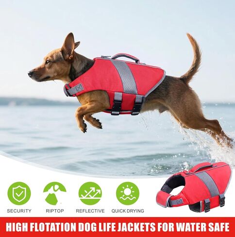 mosucoirl الكلب سترة النجاة عالية التعويم، القرش الكلب المنقذ يطفو معطف وضوح عالية عاكسة سلامة الحيوانات الأليفة سترة المايوه الصغيرة المتوسطة الكبيرة الكلب الحياة سترة للسباحة القوارب وركوب الأمواج والتجديف in Kuwait