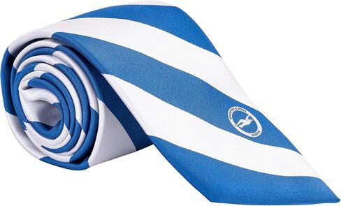 كرة قدم Desert Cactus Brighton & Hove Albion FC Tie BHAFC Seagulls Club 100% بوليستر مع شعار مرخص رسميًا (النمط A) in Saudi Arabia