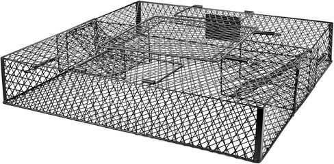 Squirrel Trap (No Bottom Tray) - Ideal for Chipmunks and Squirrels, Metal Construction, Holds up to 25 Squirrels, 2 Traps in Saudi Arabia