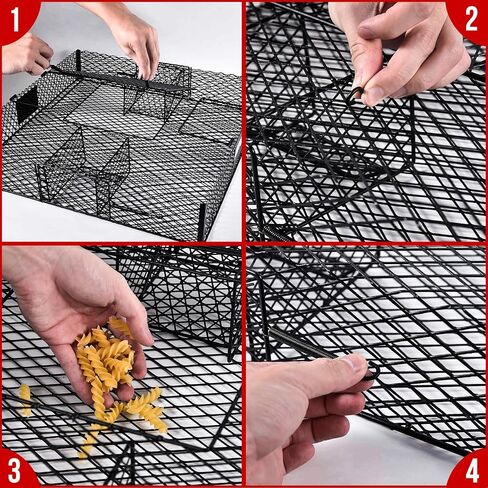 Squirrel Trap (No Bottom Tray) - Ideal for Chipmunks and Squirrels, Metal Construction, Holds up to 25 Squirrels, 2 Traps in Saudi Arabia