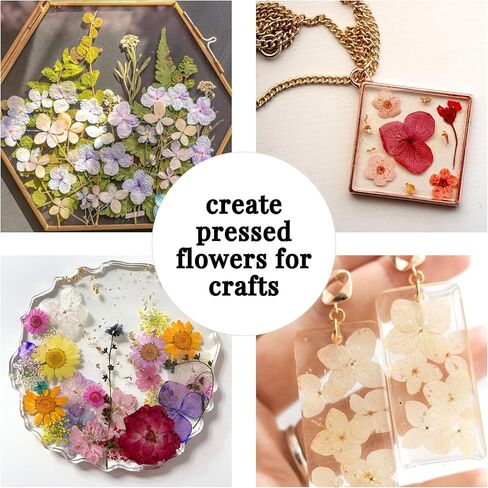 Flower Pressing Kit for Adults, Kids - Hobby Kits for Adults with Travel Muslin Bag – Pressed Flowers for Crafts – Flower Drying Kit Gift - 5.9 x 8.2" Bouquet Preservation Kit in Kuwait