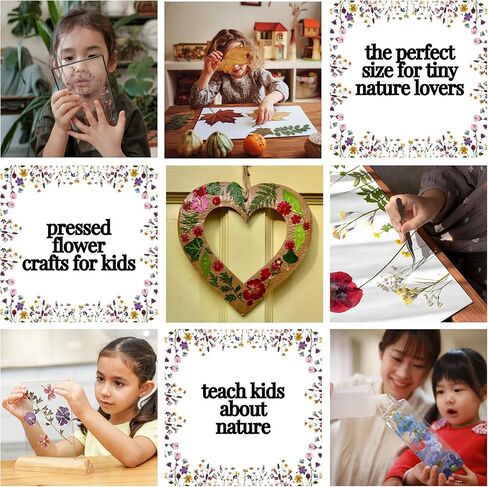 Flower Pressing Kit for Adults, Kids - Hobby Kits for Adults with Travel Muslin Bag – Pressed Flowers for Crafts – Flower Drying Kit Gift - 5.9 x 8.2" Bouquet Preservation Kit in Kuwait