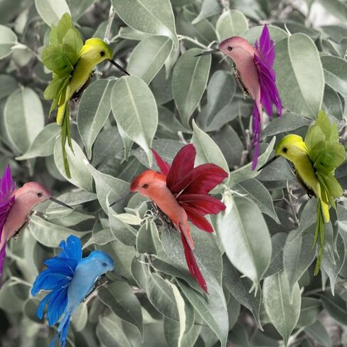 BANBERRY DESIGNS Hummingbird Clip-on Christmas Ornaments - Assorted Colors - Craft Birds Set of 6 Humming Birds - DIY Wreaths Centerpieces Home Décor 4.5" W in Saudi Arabia