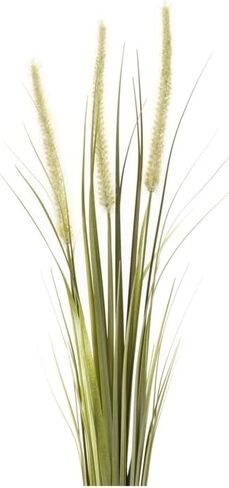 Seasise Style Foxtail Bush (Set of 6) in Saudi Arabia