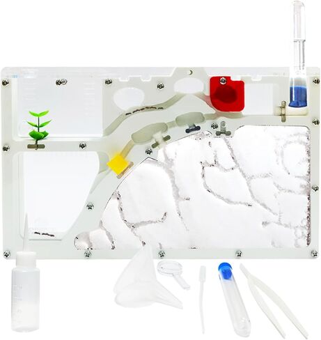 Sand Ant Farm Castle for Kids,Large Ant Habitat to Study Insect Behavior,Ant Colony Ecosystem Science Educational Gift for classroom in Kuwait