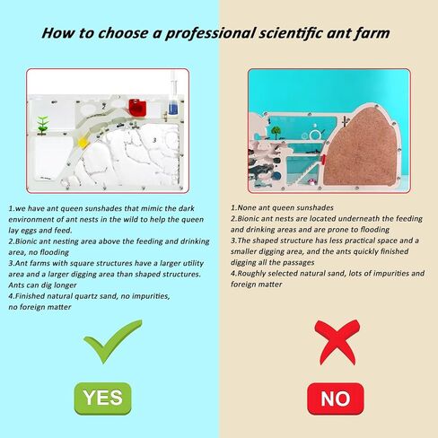 Sand Ant Farm Castle for Kids,Large Ant Habitat to Study Insect Behavior,Ant Colony Ecosystem Science Educational Gift for classroom in Kuwait