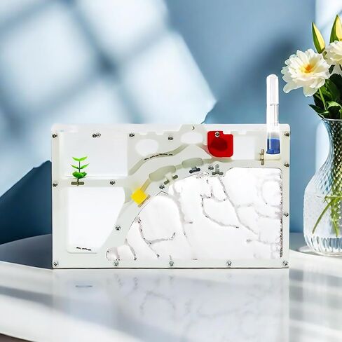 Sand Ant Farm Castle for Kids,Large Ant Habitat to Study Insect Behavior,Ant Colony Ecosystem Science Educational Gift for classroom in Kuwait