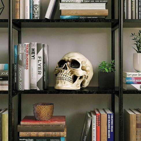 Life Size Skull Head, Human Head Skull, Halloween Skull Statue, Resin Skull Head Model and Skeleton Head for Home Decoration (Large Size) in Saudi Arabia