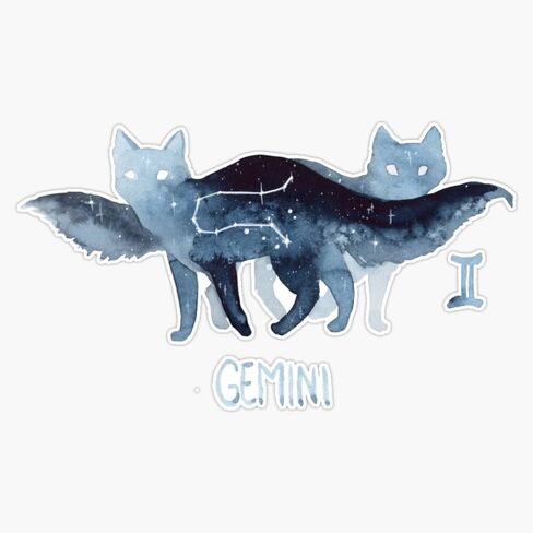 MAGNET Zodiac Cat - Gemini Magnetic Vinyl Sticker Decal Magnet 5" in Saudi Arabia