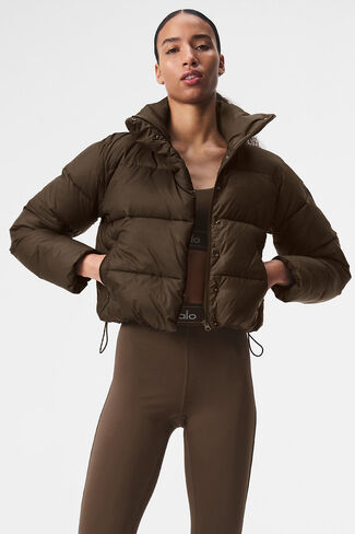 Alo Yoga Gold Rush Puffer - Espresso in Saudi Arabia