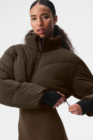 Alo Yoga Main Act Corset Puffer - Espresso/Black in Saudi Arabia