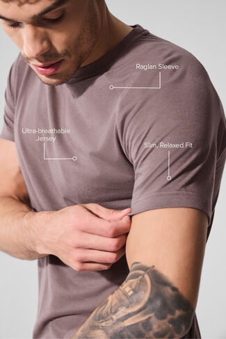 Alo Yoga Triumph Raglan Tee - Mushroom in Saudi Arabia