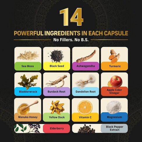 Multivitamin for Men with Sea Moss, Black Seed Oil, Ashwagandha, Turmeric Bladderwrack, Burdock,Vitamin C, Elderberry, Manuka, Yellow Dock | Daily Men's Vitamins and Minerals supplement in Saudi Arabia