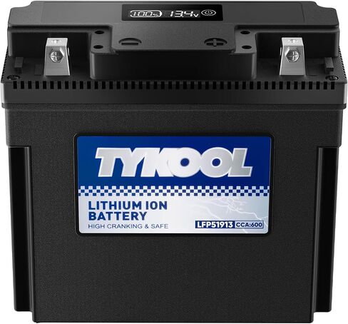 YTX20CH-BS Lithium LiFePO4 Motorcycle Battery, 12V 8Ah, 480CCA, Built in BMS, Powersports Battery,for ATV,UTV,Jet Skis, Snowmobiles, Scooters in Saudi Arabia