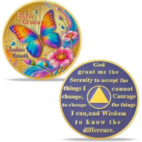 Butterfly Sobriety Chip Alcoholics Anonymous Medallion Recovery Gifts for Men Women Change is The Essence of Life AA Coin with Secret of Change in Kuwait