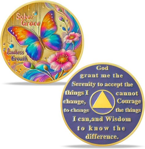 Butterfly Sobriety Chip Alcoholics Anonymous Medallion Recovery Gifts for Men Women Change is The Essence of Life AA Coin with Secret of Change in Kuwait