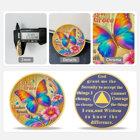 Butterfly Sobriety Chip Alcoholics Anonymous Medallion Recovery Gifts for Men Women Change is The Essence of Life AA Coin with Secret of Change in Kuwait