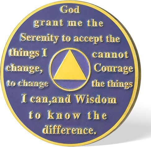 Butterfly Sobriety Chip Alcoholics Anonymous Medallion Recovery Gifts for Men Women Change is The Essence of Life AA Coin with Secret of Change in Kuwait