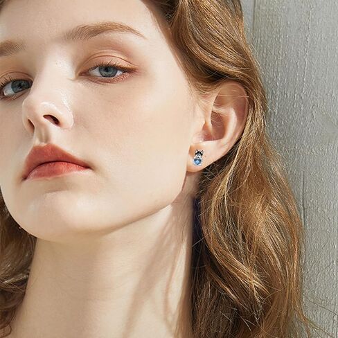 أقراط الكلب شناوزر 925 من الفضة الإسترليني أقراط على شكل كلب أزرق على شكل قلب كريستال أقراط للكلاب هدايا للنساء لمحبي الكلاب in Kuwait