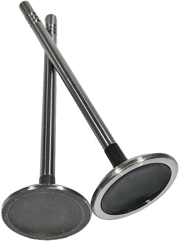 12x Intake Valve & 12x Exhaust Valve Kit Fit for Ford Lincoln Mercury 4.6L 5.4L Sohc 3-Valve Triton， Replace 3L3Z-6507-BA 5L1Z-6505-B IV4185 in Saudi Arabia