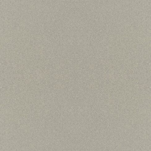 طلاء السيارات لشركة هيونداي RW5، بيج معدني، 11 أونصة أيروسول in Saudi Arabia