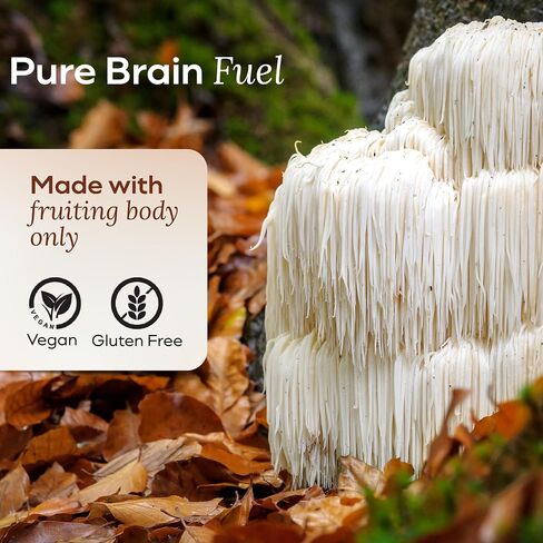 Lions Mane Mushroom Gummies for Focus and Memory - 500mg Fruiting Body Extract - Cognitive Support and Brain Health Supplements for Adults and Kids - Vegan, Gluten-Free - Canyon Cooler - 30 Servings in Saudi Arabia