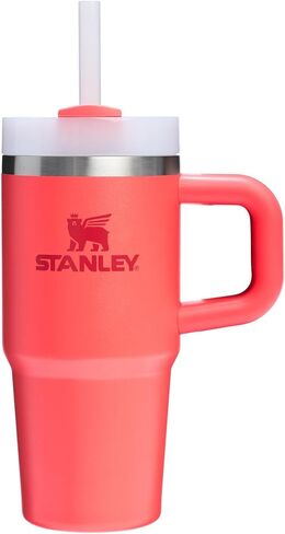 STANLEY The Quencher H2.0 FlowState Tumbler (Soft Matte) | 30 OZ Stormy Sea in Saudi Arabia