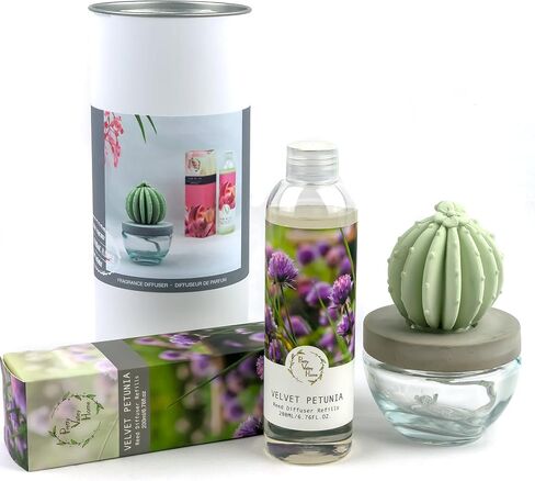 Barrel Cactus Ceramic Fragrance Diffuser Combo 200ml Velvet Petunia in Saudi Arabia