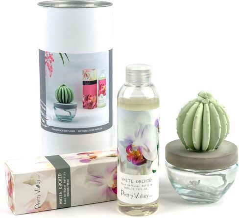 Barrel Cactus Ceramic Fragrance Diffuser Combo 200ml Velvet Petunia in Saudi Arabia