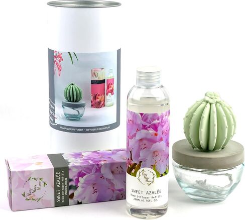 Barrel Cactus Ceramic Fragrance Diffuser Combo 200ml Velvet Petunia in Saudi Arabia