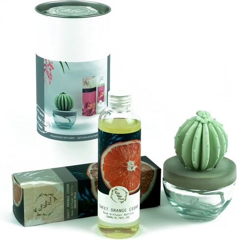 Barrel Cactus Ceramic Fragrance Diffuser Combo 200ml Velvet Petunia in Saudi Arabia
