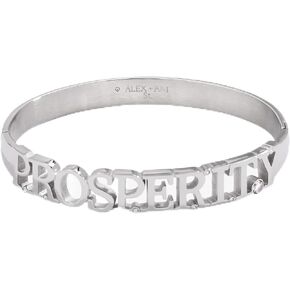 Alex and Ani Prosperity Hinge Bracelet:Stainless Steel Silver:Silver