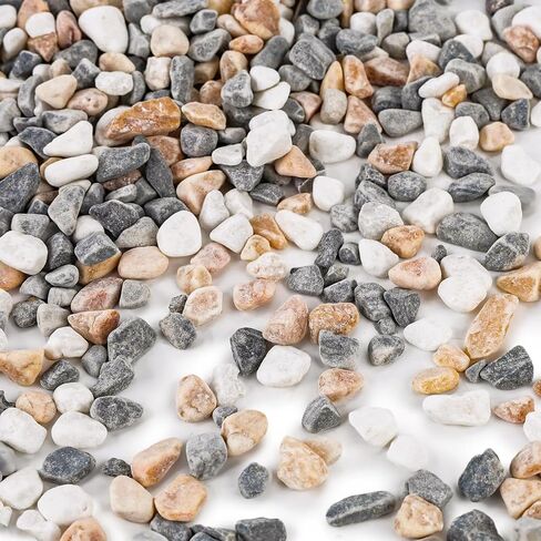 DomeStar 2lb Natural Plants Pebbles, Mixed Color Gravel Pebbles Pea Gravels for Succulents Vases Rocks Aquarium Indoor Outdoor in Saudi Arabia