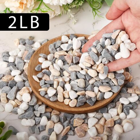 DomeStar 2lb Natural Plants Pebbles, Mixed Color Gravel Pebbles Pea Gravels for Succulents Vases Rocks Aquarium Indoor Outdoor in Saudi Arabia