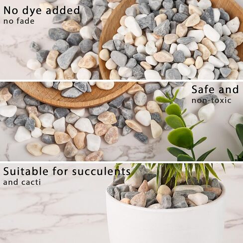 DomeStar 2lb Natural Plants Pebbles, Mixed Color Gravel Pebbles Pea Gravels for Succulents Vases Rocks Aquarium Indoor Outdoor in Saudi Arabia